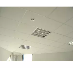 Панель для подвесного потолка «Нептун» Китай Панель для подвесного потолка «Нептун» Китай